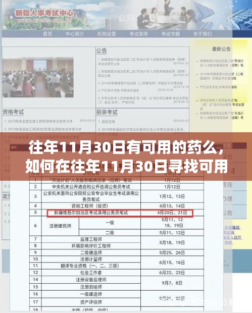 往年11月30日药品查询与获取指南，详细步骤助你找到可用药物