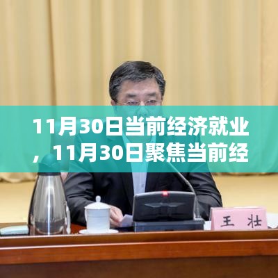 11月30日深度解析，当前经济就业状况、趋势、挑战与机遇