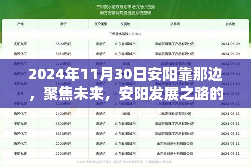 聚焦未来，安阳发展之路的探讨与展望——以2024年11月30日为观察点