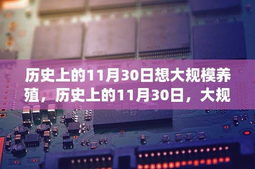 11月30日与大规模养殖的起源发展，历史回顾与探究