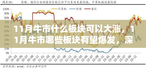 深度解析与竞品对比，揭秘11月牛市中哪些板块有望爆发大涨