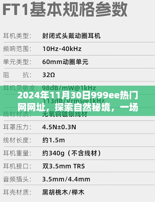 探索自然秘境的心灵之旅，揭秘最新热门网址999ee热门网在2024年11月的新体验