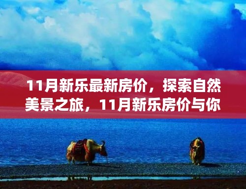 11月新乐房价探索之旅，自然美景与心灵宁静的双重体验