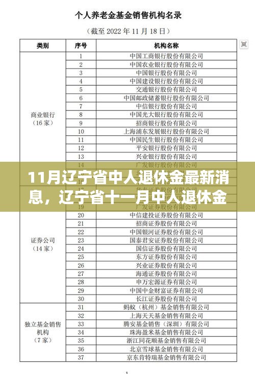 辽宁省中人退休金最新动态，背景、进展与影响十一月综述