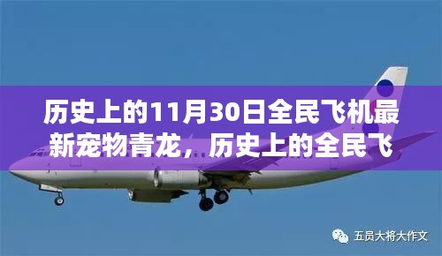 深度解析与观点阐述，全民飞机新宠青龙——历史上的11月30日独家揭秘