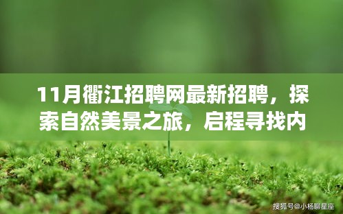 衢江招聘网最新招聘信息解读，探索自然美景之旅，寻找内心的宁静与自我