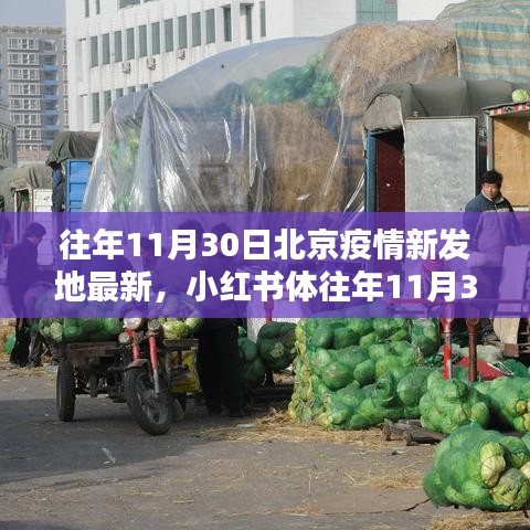 小红书视角下的北京疫情新发地深度解析，历年数据对比与最新动态分析（往年篇）