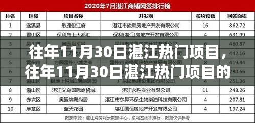 湛江热门项目深度解析，一种独特的观察与思考视角