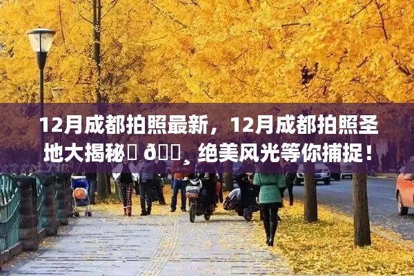 揭秘成都十二月拍照圣地，绝美风光等你来捕捉！