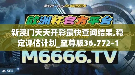 新澳门天天开彩最快查询结果,稳定评估计划_至尊版36.772-1