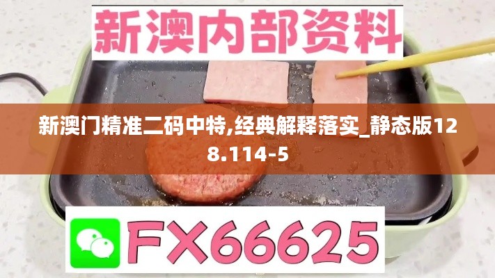 新澳门精准二码中特,经典解释落实_静态版128.114-5