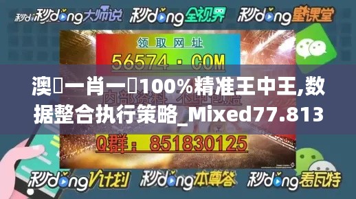 澳門一肖一碼100%精准王中王,数据整合执行策略_Mixed77.813-8