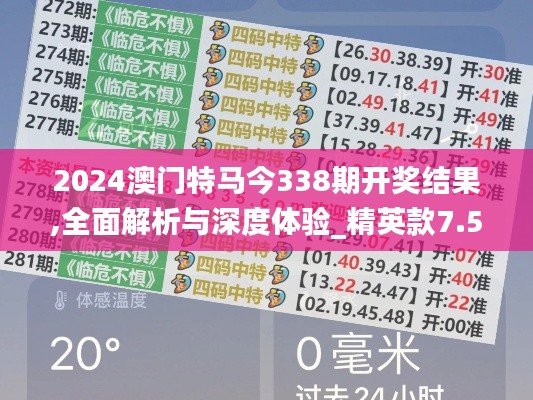 2024澳门特马今338期开奖结果,全面解析与深度体验_精英款7.568-6