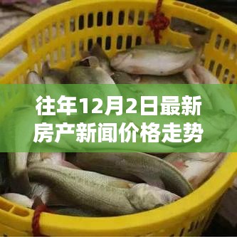 往年12月2日房产新闻深度解析，最新价格走势与动态报告