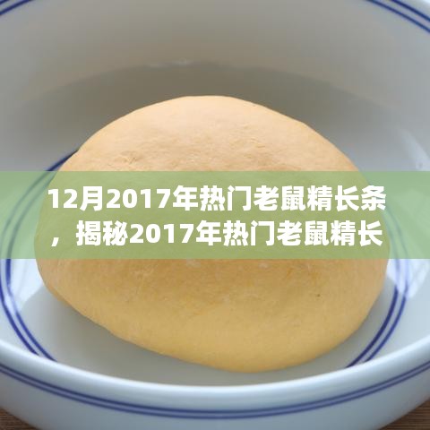 揭秘2017年热门老鼠精长条，技术革新与应用探讨的要点解析