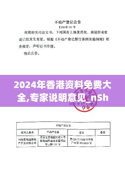 2024年香港资料免费大全,专家说明意见_nShop39.304-9