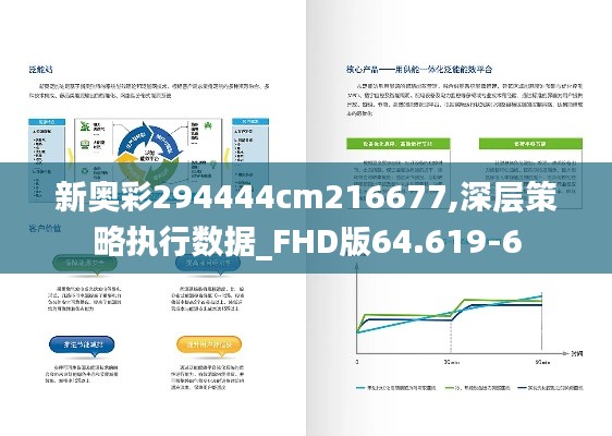 新奥彩294444cm216677,深层策略执行数据_FHD版64.619-6