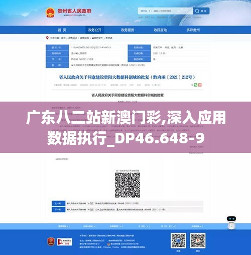 广东八二站新澳门彩,深入应用数据执行_DP46.648-9