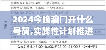 2024今晚澳门开什么号码,实践性计划推进_试用版44.826-8