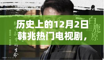 改弦易张 第3页