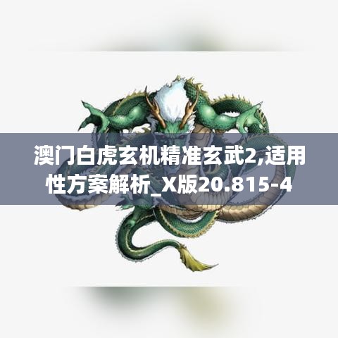 澳门白虎玄机精准玄武2,适用性方案解析_X版20.815-4