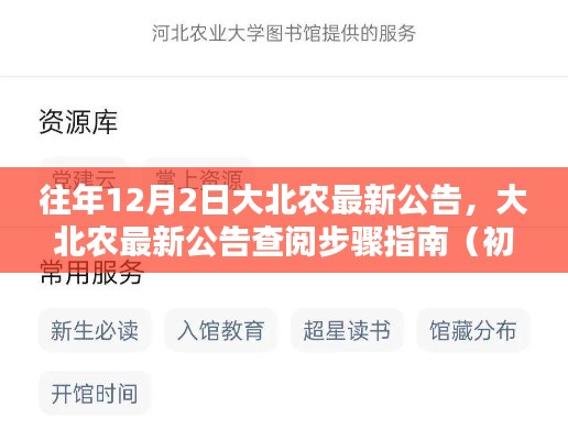 大北农最新公告解读与查阅指南，初学者与进阶用户适用步骤概览