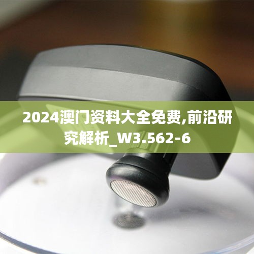 2024澳门资料大全免费,前沿研究解析_W3.562-6