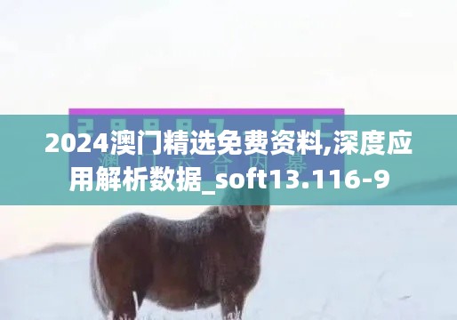 2024澳门精选免费资料,深度应用解析数据_soft13.116-9