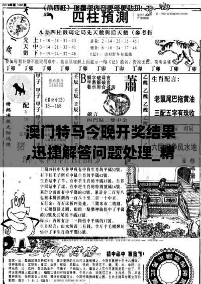 澳门特马今晚开奖结果,迅捷解答问题处理_精英版35.735-6