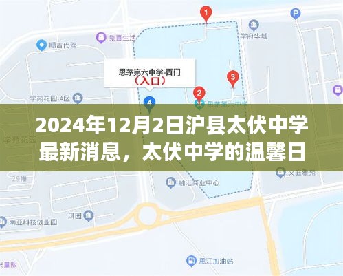 沪县太伏中学最新动态，友情与爱在温馨日常中绽放（2024年12月2日）