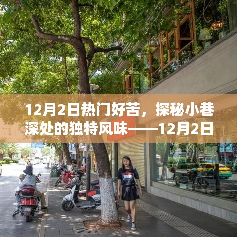 探秘小巷深处的秘密小店，苦中带甜的独特风味之旅（12月2日遇见）