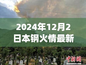 本钢火情之后的心灵探索之旅，静待宁静的2024年12月