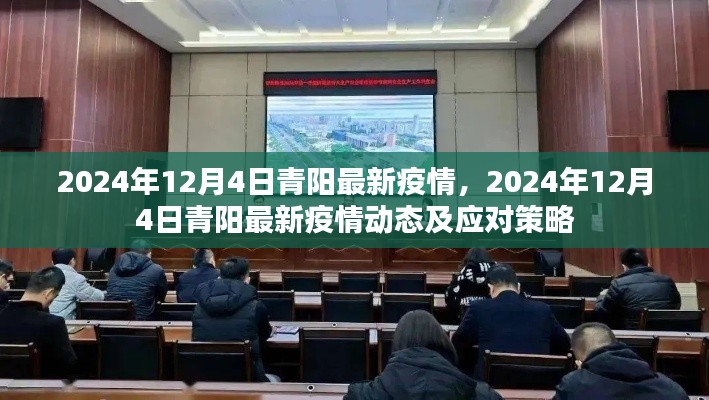 青阳最新疫情动态及应对策略（2024年12月4日更新）