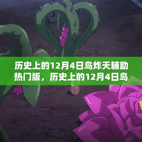 历史上的12月4日鸟炸天辅助热门版，全面评测与详细介绍