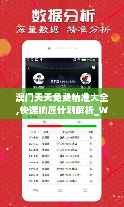 澳门天天免费精准大全,快速响应计划解析_WearOS76.779-5