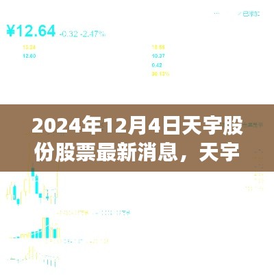 天宇股份，科技新星引领智能生活潮流，最新动向闪耀股市消息（2024年12月4日）