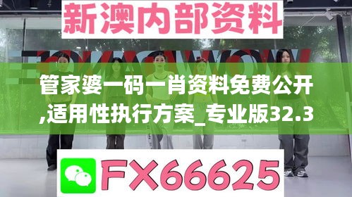 管家婆一码一肖资料免费公开,适用性执行方案_专业版32.336