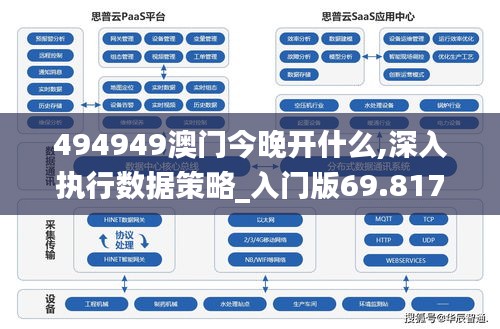 494949澳门今晚开什么,深入执行数据策略_入门版69.817