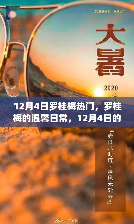 罗桂梅的温馨日常，12月4日的快乐时光记录