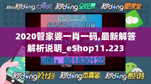 2020管家婆一肖一码,最新解答解析说明_eShop11.223