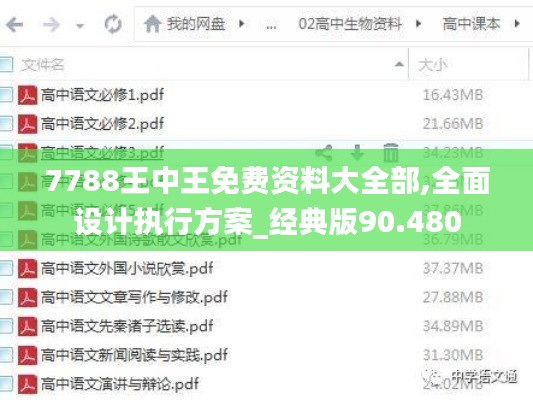 7788王中王免费资料大全部,全面设计执行方案_经典版90.480