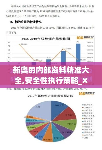 新奥的内部资料精准大全,安全性执行策略_XP15.879