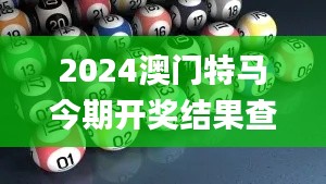 2024澳门特马今期开奖结果查询,实地数据验证分析_Galaxy71.425