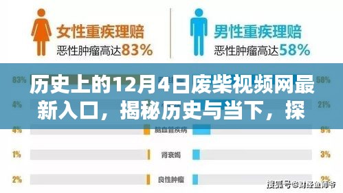 揭秘历史与当下，探寻历史上的废柴视频网最新入口（12月4日）