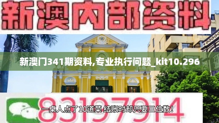 新澳门341期资料,专业执行问题_kit10.296