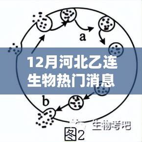 河北乙连生物深度评测与最新热门消息揭秘