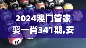 2024澳门管家婆一肖341期,安全性计划解析_高级款5.247