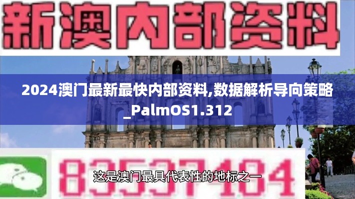 2024澳门最新最快内部资料,数据解析导向策略_PalmOS1.312