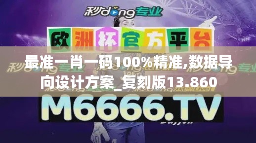 最准一肖一码100%精准,数据导向设计方案_复刻版13.860