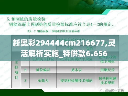 新奥彩294444cm216677,灵活解析实施_特供款6.656